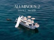 Phi Phi Whale Shark Boat – Premium