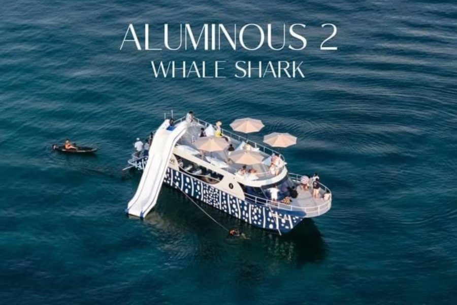 Phi Phi Whale Shark Boat – Premium