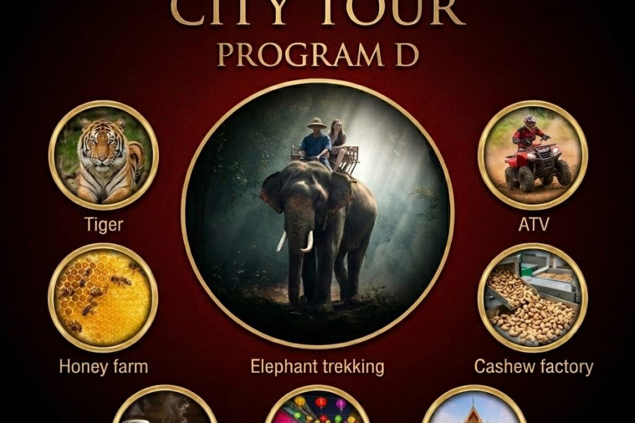 Phuket City Tour – Program D