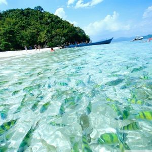 Raya & Coral Islands