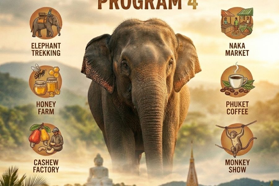 Phuket City Tour – Program 4