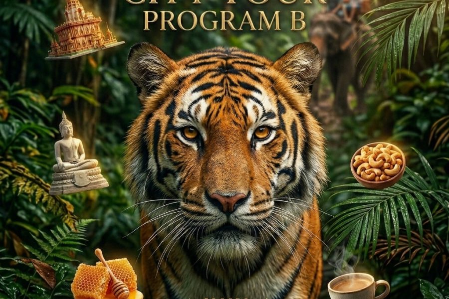 Phuket City Tour – Program B